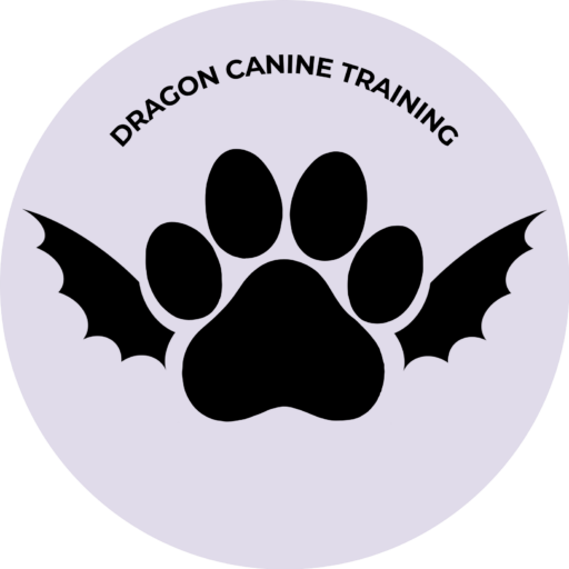 Dragon Canine Training